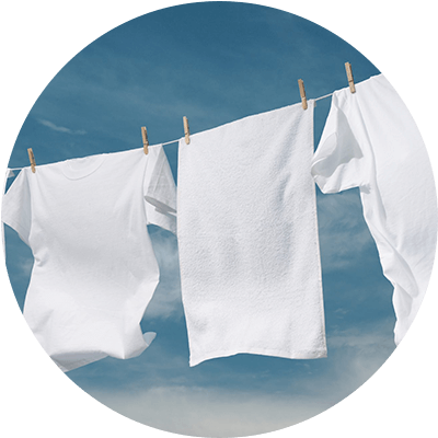 Ozone Laundry